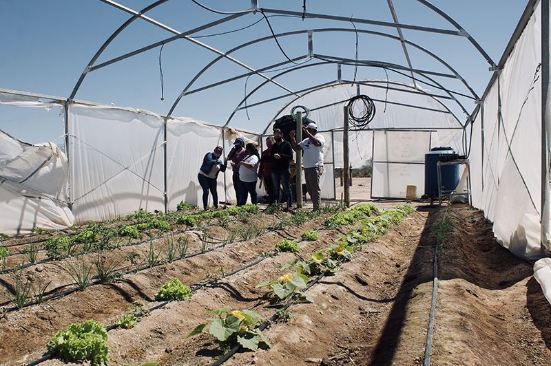 16 Visita a piloto demostrativo en proceso con organizacion campesina integrante de ACP localidad de Los Colorados La Rioja Argentina