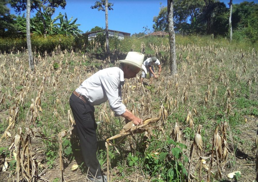 Agricultura Familiar Climáticamente Inteligente AFCI-PRA