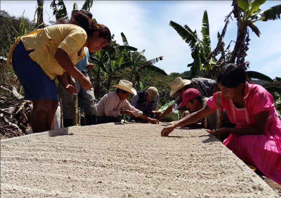 Resiliencia en cadenas agroalimentarias