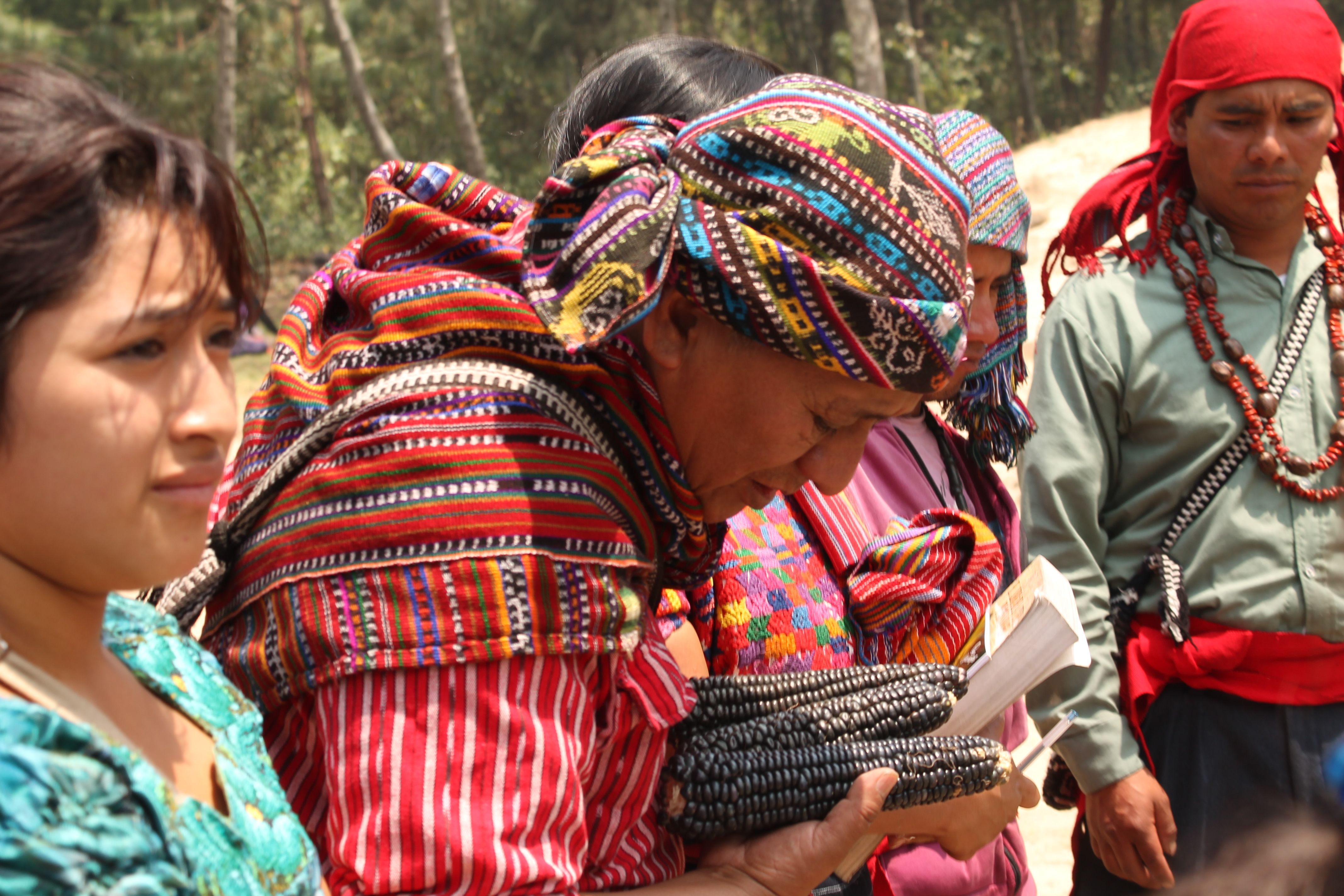 Strengthening indigenous sustainable food production systems