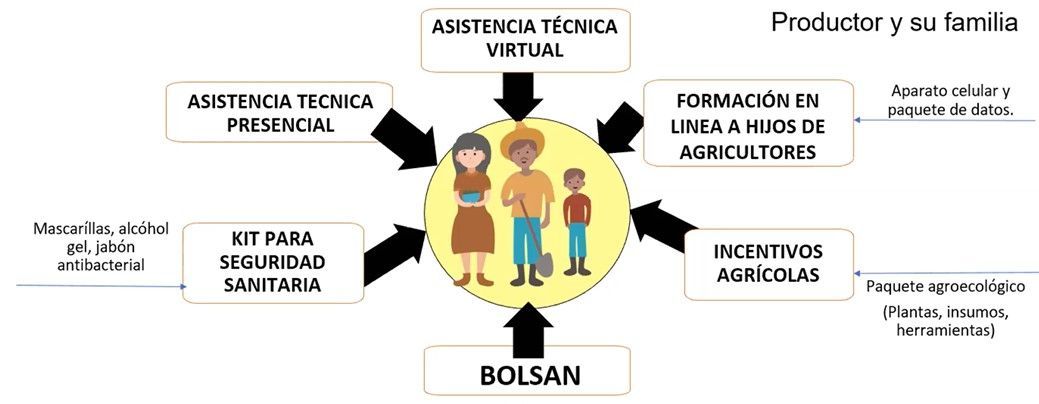 nota zanahoria interno1