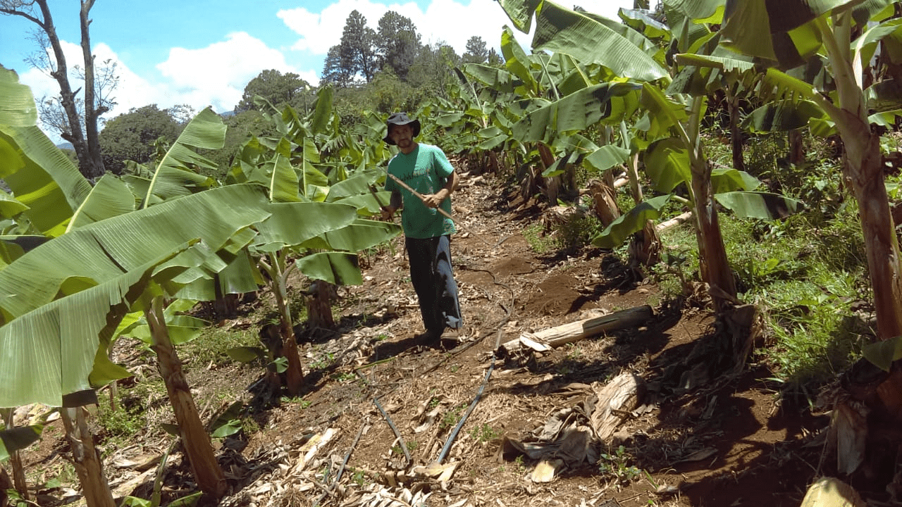 Carlos Dagoberto Melgar 