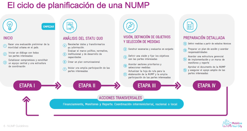 Ciclo NUMP MYC