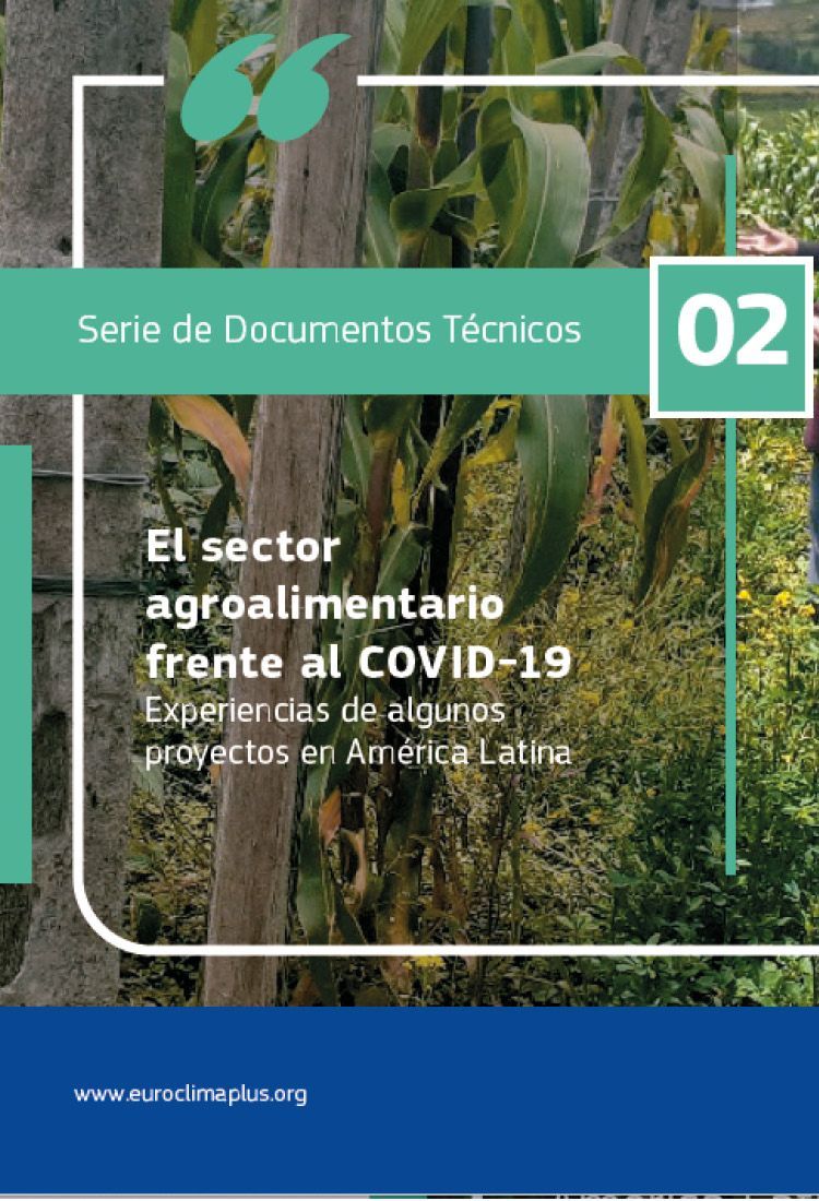 The agri-food sector versus COVID-19 Experiences of some projects in Latin America