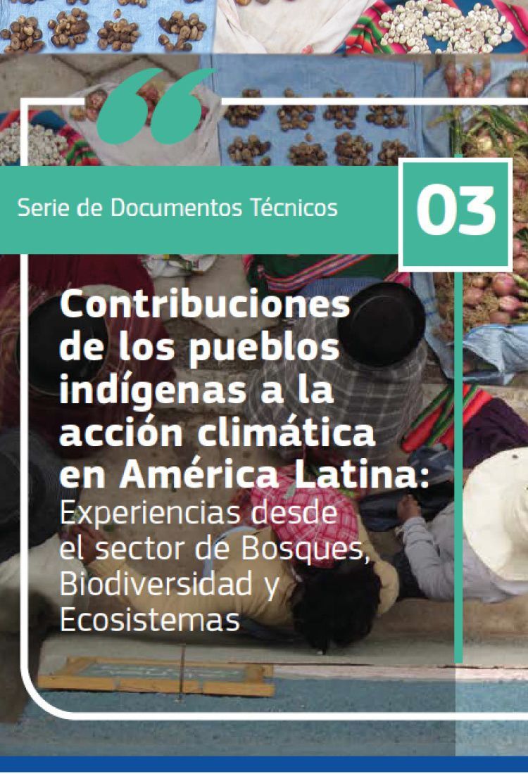 Contribuciones de los pueblos indígenas a la acción climática en América Latina: Experiencias desde el sector de Bosques, Biodiversidad y Ecosistemas