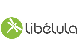 Libelula