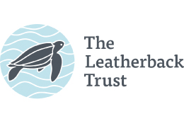 The leatherback trust