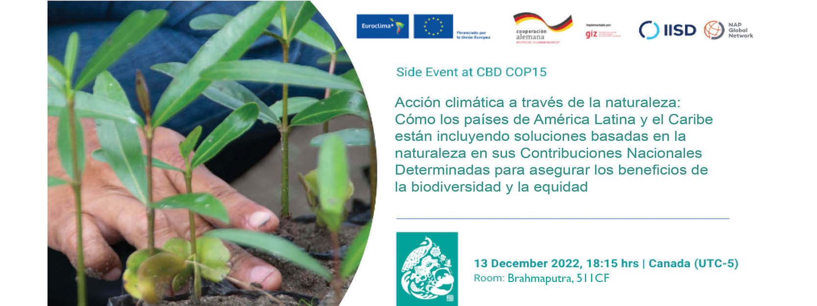 COP15: Acción climática a través de la naturaleza: