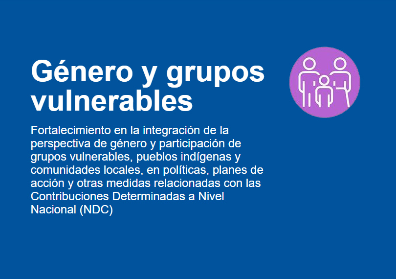 Género y grupos vulnerables