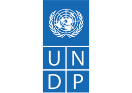 UNDP Logo Blue Large b