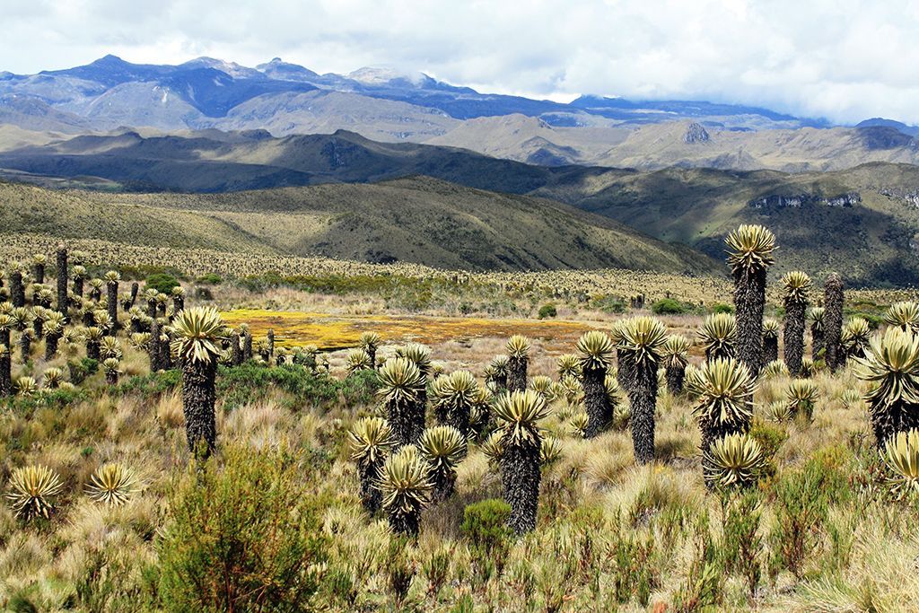 Planificación territorial sostenible y gobernanza del agua en ciudades andinas 