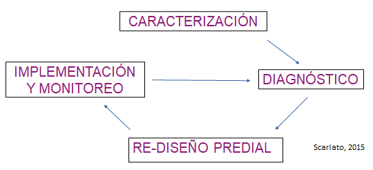 2022 GFR Cierre Fases Coinnovacin