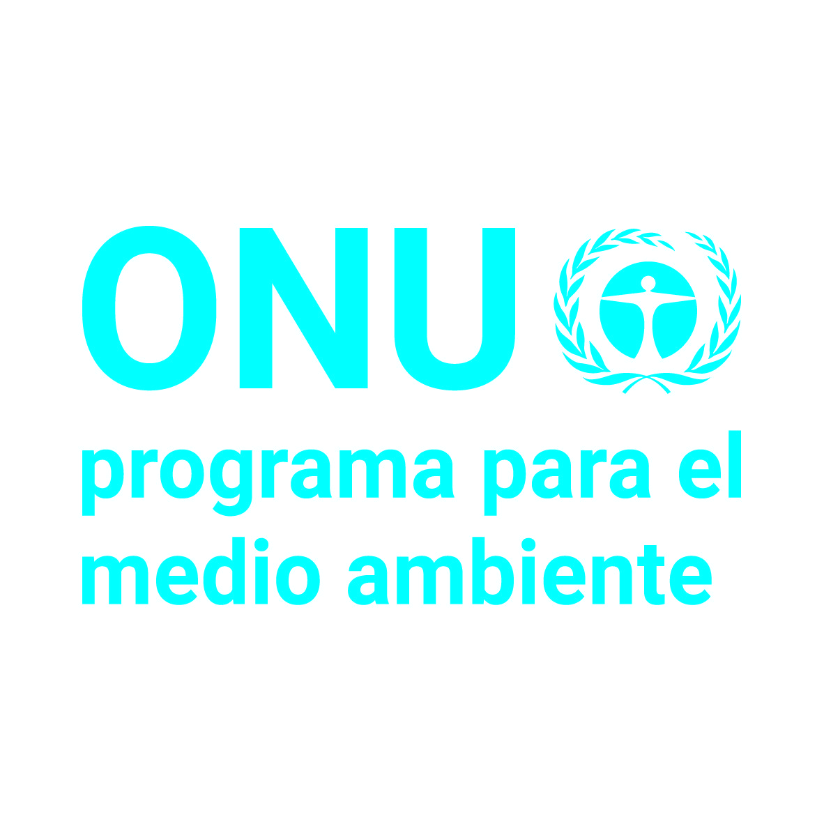 ONU Medio Ambiente 