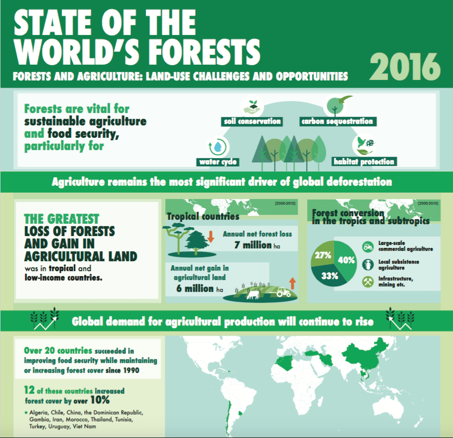 Infographic State-of-Worlds-Forests-2016 FAO