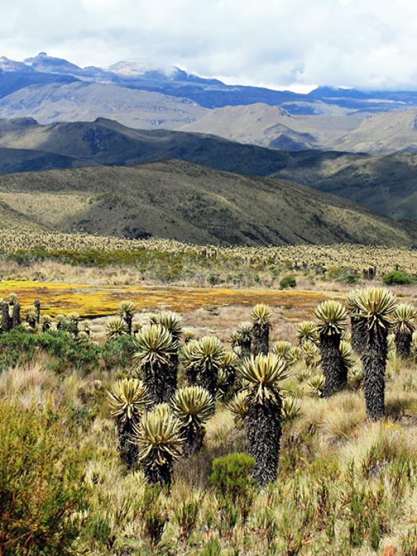 Planificación territorial sostenible y gobernanza del agua en ciudades andinas 