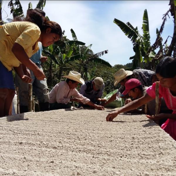 Resiliencia en cadenas agroalimentarias