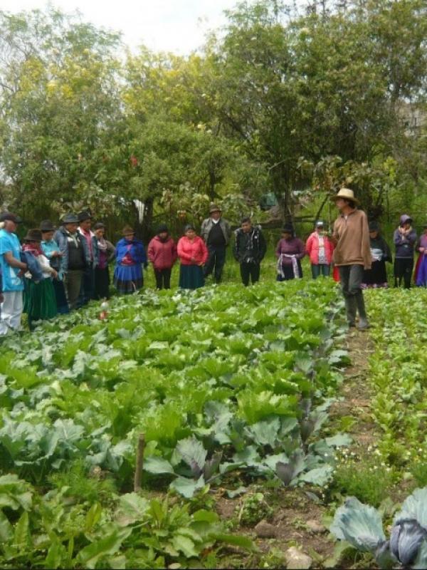 Producción y cambio climático