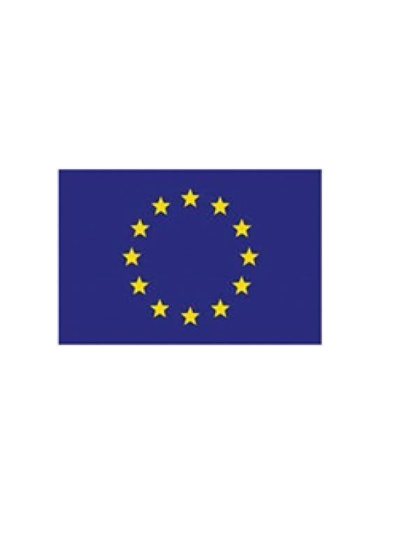 Web oficial de la Unión Europea
