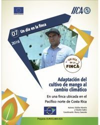 Un día en la finca: Adaptación del cultivo de mango al cambio climático