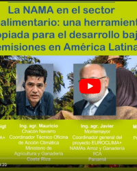 NAMAs en el sector agroalimentario en América Latina 