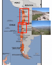 Implicaciones de la COP25 para el sector agropecuario