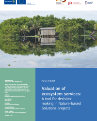Valuation of ecosystem services: A tool for decision-making in Nature-based Solutions projects