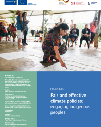 Fair and effective climate policies: engaging indigenous peoples
