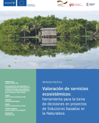 Valoración de servicios ecosistémicos: herramienta para la toma de decisiones en proyectos de Soluciones basadas en la Naturaleza