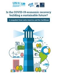 Is the COVID-19 economic recovery building a sustainable future?