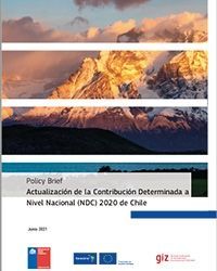 Policy Brief: Actualización de la Contribución Determinada a Nivel Nacional (NDC) 2020 de Chile