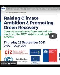 Raising climate ambition and promoting green recovery: Country experiences from around the world