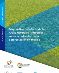 Diagnóstico del efecto de las Áreas Naturales Protegidas sobre la reducción de la deforestación en México