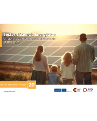 Sector Eficiencia Energética: Un aprendizaje común en el marco de EUROCLIMA