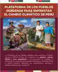 Plataforma de los Pueblos indígenas para enfrentar el Cambio Climático (PPICC) de Perú