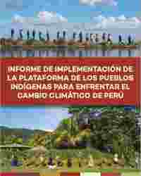 Informe de Implementación de la Plataforma de los Pueblos indígenas para enfrentar el Cambio Climático (PPICC) de Perú