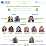 OECD-PCCB Network workshop series work shop #3