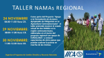 Taller NAMAs Regional